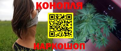 spice Дубна