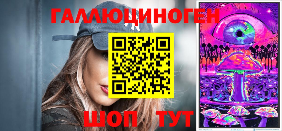 Псилоцибиновые грибы Psilocybine cubensis Людиново